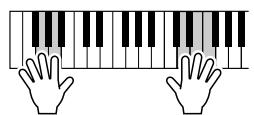 YAMAHA DGX-205 - Play on the keyboard. - 2