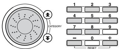 YAMAHA DGX-205 - Use the dial or the [1] - [8] number buttons to select a bank number from 1 to 8. - 1
