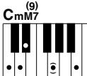 YAMAHA DGX-205 - Standard Chords. - 20