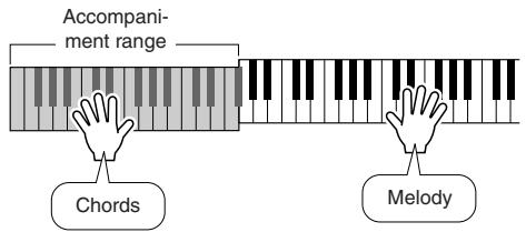 YAMAHA DGX-205 - Play along with the style. - 1