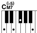 YAMAHA DGX-205 - Standard Chords. - 9