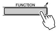 YAMAHA DGX-205 - Press the [FUNCTION] button. - 1