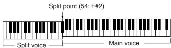 YAMAHA DGX-205 - NOTE - 1