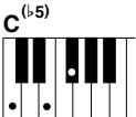 YAMAHA DGX-205 - Standard Chords. - 8