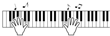 YAMAHA DGX-205 - Play the keyboard. - 1