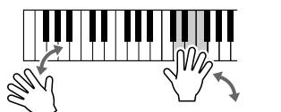 YAMAHA DGX-205 - Play on the keyboard. - 4