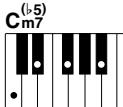 YAMAHA DGX-205 - Standard Chords. - 21
