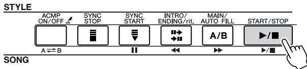 YAMAHA DGX-205 - Play Only the Style Rhythm - 3