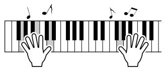 YAMAHA DGX-205 - ■ Performance assistant technology - 1
