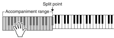 YAMAHA DGX-205 - Play a chord in the accompaniment range of the keyboard. - 1
