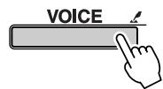 YAMAHA DGX-205 - One Touch Setting - 1