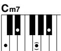 YAMAHA DGX-205 - Standard Chords. - 16