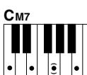 YAMAHA DGX-205 - Standard Chords. - 5