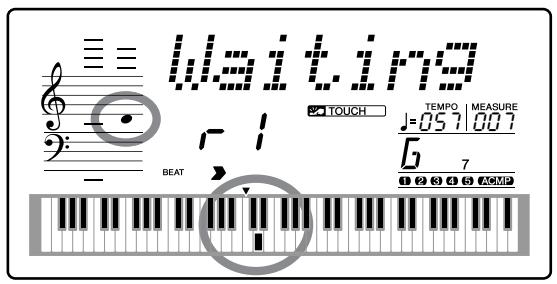 YAMAHA DGX-205 - NOTE - 2