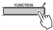 YAMAHA DGX-205 - Press the [FUNCTION] button. - 1