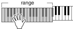 YAMAHA DGX-205 - Play a Style With Chords but No Rhythm (Stop Accompaniment) - 5