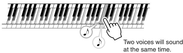 YAMAHA DGX-205 - Play the keyboard. - 1