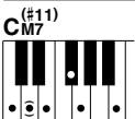 YAMAHA DGX-205 - Standard Chords. - 7