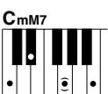 YAMAHA DGX-205 - Standard Chords. - 19