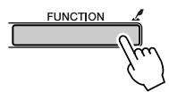 YAMAHA DGX-205 - Press the [FUNCTION] button. - 1