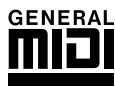 YAMAHA DGX-205 - Panel logos - 1