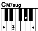 YAMAHA DGX-205 - Standard Chords. - 12