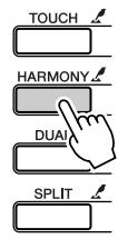 YAMAHA DGX-205 - NOTE - 1