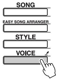 YAMAHA DGX-205 - Press the [VOICE] button. - 1