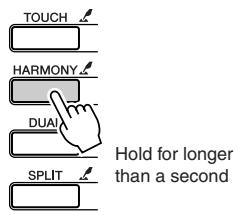 YAMAHA DGX-205 - Press and hold the [HARMONY] button for longer than a second. - 1
