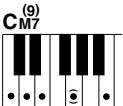 YAMAHA DGX-205 - Standard Chords. - 6