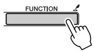 YAMAHA DGX-205 - Press the [FUNCTION] button. - 1