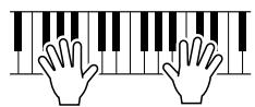 YAMAHA DGX-205 - NOTE - 1