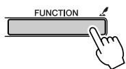 YAMAHA DGX-205 - If necessary, hold the [FUNCTION] button for longer than a second to save your settings to flash memory. - 1