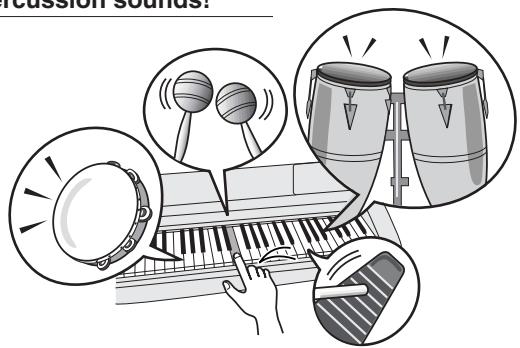 YAMAHA DGX-205 - Drum Kits - 1