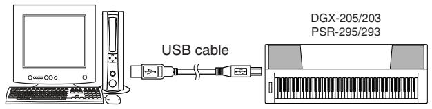 YAMAHA DGX-205 - USB Connection - 1