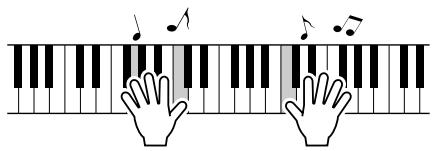 YAMAHA DGX-205 - One Touch Setting - 4