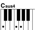 YAMAHA DGX-205 - Standard Chords. - 10
