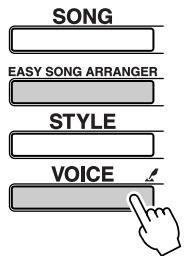 YAMAHA DGX-205 - Press the [VOICE] button. - 1
