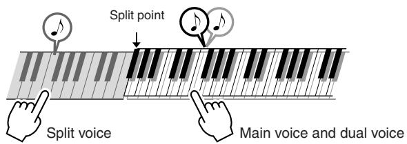 YAMAHA DGX-205 - Play Different Voices With the Left and Right Hands - SPLIT - 1
