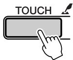 YAMAHA DGX-205 - The "Press & Hold" Symbol - 1