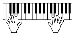 YAMAHA DGX-205 - Play on the keyboard. - 3