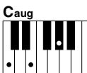 YAMAHA DGX-205 - Standard Chords. - 11