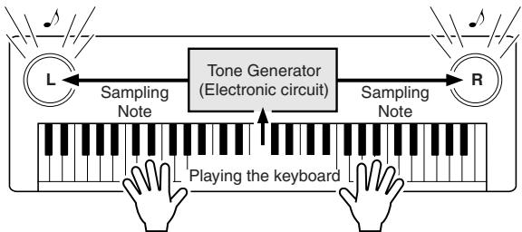 YAMAHA DGX-205 - What Is MIDI? - 2