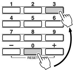 YAMAHA DGX-205 - Number Buttons [0] - [9] - 1