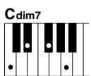 YAMAHA DGX-220 - Standard Chords - 24