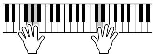 YAMAHA DGX-220 - Use the Performance Assistant to Play Like a Pro! - 4