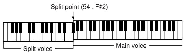 YAMAHA DGX-220 - Setting the Split Point - 4