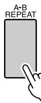 YAMAHA DGX-220 - Play the song (page 25) and press the [A-B REPEAT] button at the beginning of the section you want to repeat (the “A” point). - 2