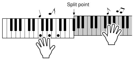 YAMAHA DGX-220 - Play on the keyboard. Play to the right of the split - 1