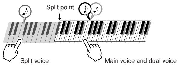 YAMAHA DGX-220 - Play Different Voices with the Left and Right Hands—SPLIT - 1